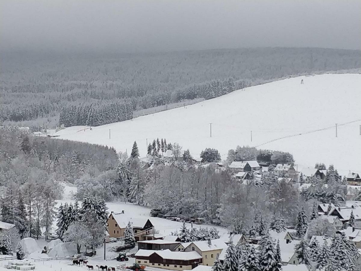 Ferienwohnung Bimmelbahn-Blick Neudorf  Экстерьер фото