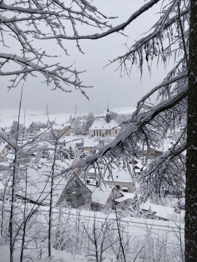 Ferienwohnung Bimmelbahn-Blick Neudorf  Экстерьер фото